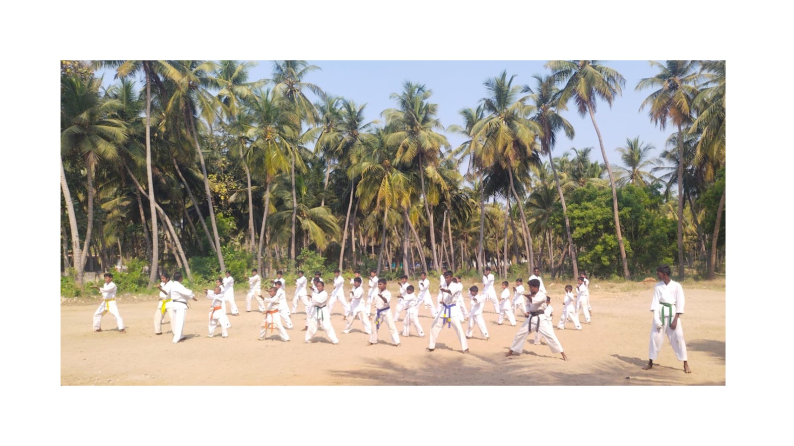 search-for-an-opportunity